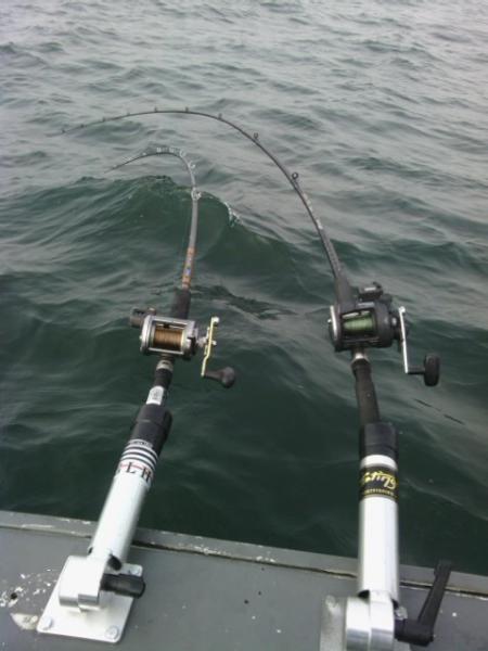 Looking to get ratchet rod holders - Boat Maintenance and Rigging - Great  Lakes Fisherman - Trout, Salmon & Walleye Fishing Forum
