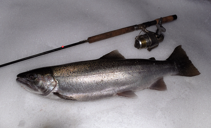 Tough conditions - Lake Michigan Pier and River Reports ...