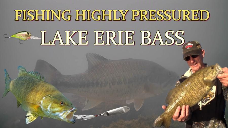 Lake Erie Fishing for Pressured Bass - Fishing Videos - Great Lakes  Fisherman - Trout, Salmon & Walleye Fishing Forum